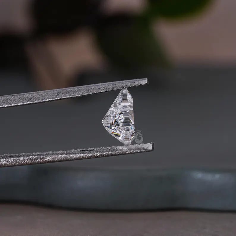 IGI Certified 1.00CT Rabbit Shape Lab Grown Diamond, Fancy Cut for Jewelry