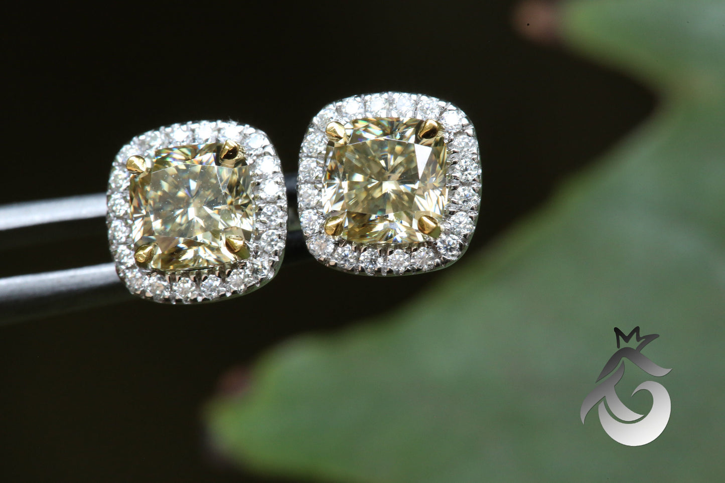 1CT Cushion Cut Canary Yellow Moissanite Halo Stud Earrings – 14K Gold Bridal Jewelry