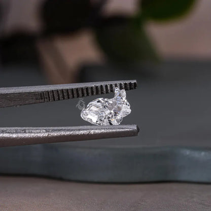 IGI Certified 1.00CT Rabbit Shape Lab Grown Diamond, Fancy Cut for Jewelry
