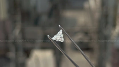 Bull Shape IGI Certified Lab Grown Diamond, CVD Cut for Pendants & Rings