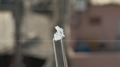 IGI Certified 1.00CT Rabbit Shape Lab Grown Diamond, Fancy Cut for Jewelry
